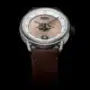 Timeless HMS 003 WH-G-BR Automatic Gold Watch